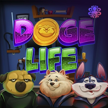 Doge Life - BOYBET168